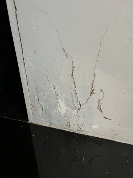 What kind of tradesperson do I need for this problem?