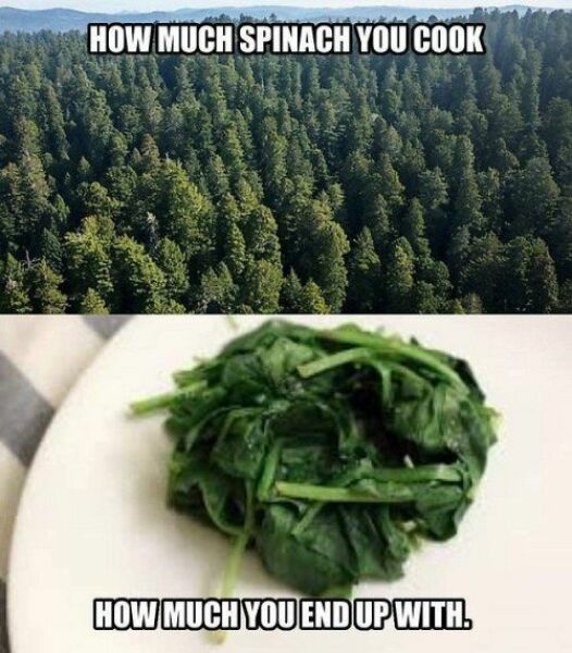 Thread 14 - TalkLair: “What The Hell Are We Supposed To Use, Man? Harsh Language?”