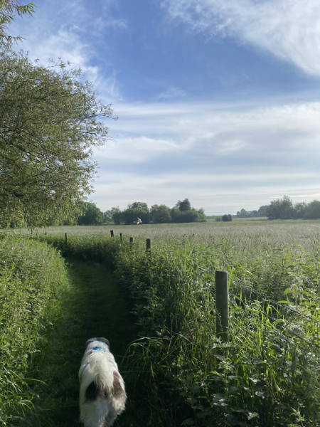 You know you get up early in the country when…