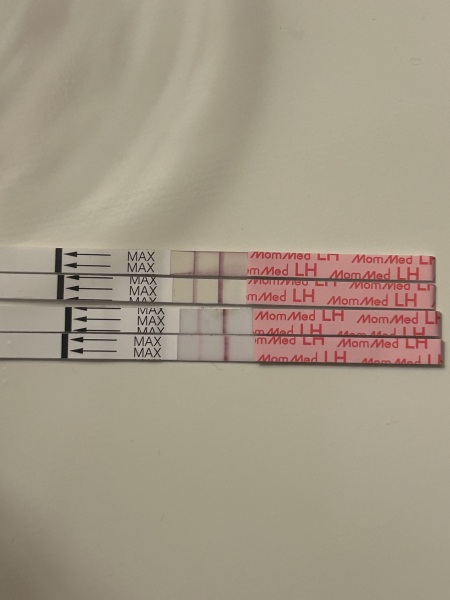 Newbie here - when did I ovulate?