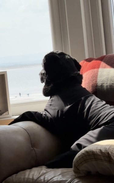 Have you ever lived on the seafront?