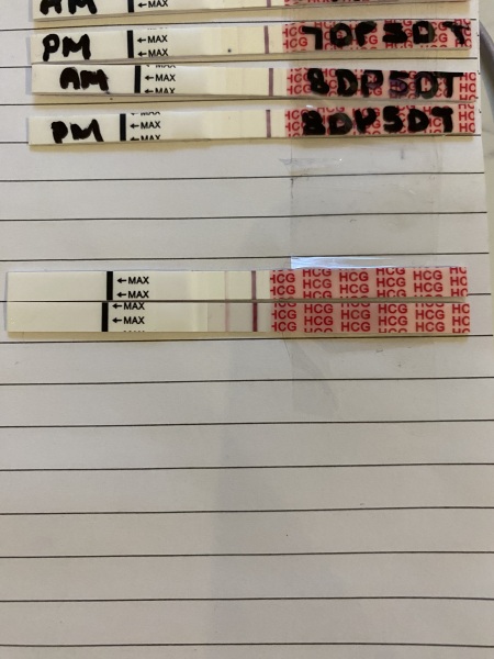 Lines getting darker after “chemical” - please help