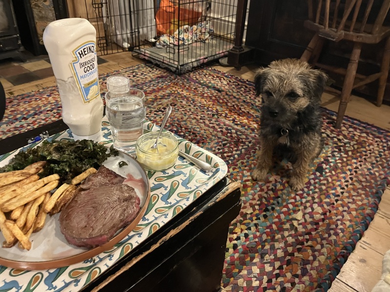 🍁LOSE IT!🍁 Start-Over September 2024🍁