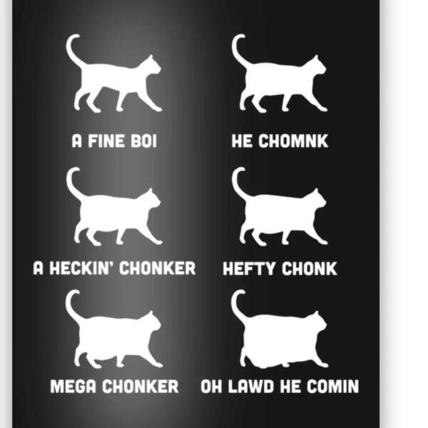 Thread 8 Starmer : Cat fur on new clothes