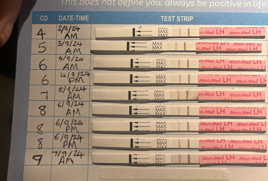 Am I ovulating? Pics included