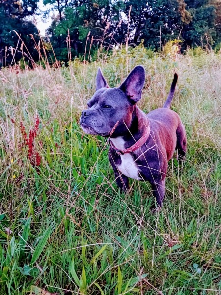 The Continuing Support Thread for Anyone Trying to Lead an Alcohol-Free Life Autumn 2024