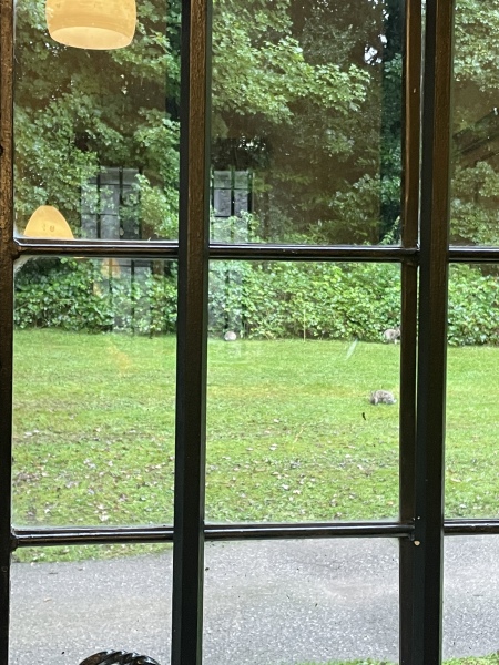 Our Flag Means Death - Thread 4: Roll up, roll up! Come join us for more pirate obsession!