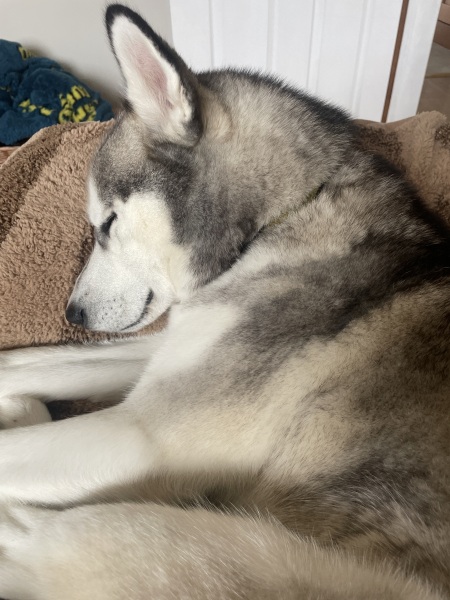 Toasties can we go on chatting forever? Looks like it!