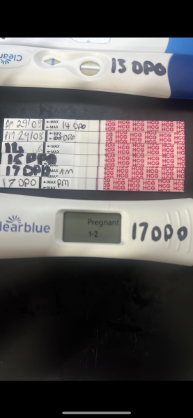 Test… positive or negative