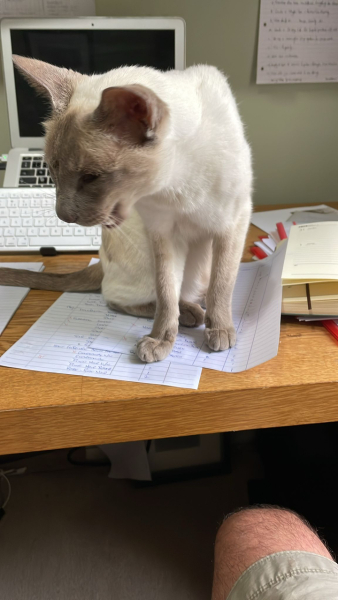 Thread 6 Starmer: We're going to need a bigger skip!