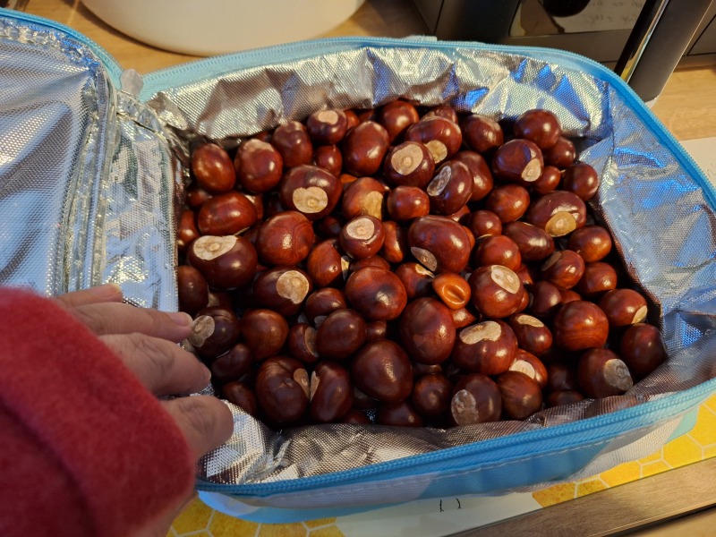 The Autumnal Christmas Chronicles Preamble thread