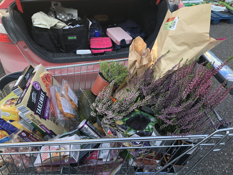 Amigos actively attempting austere actions August 24>