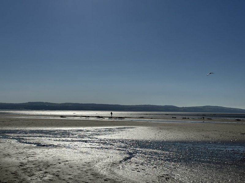 The Autumnal Christmas Chronicles Preamble thread