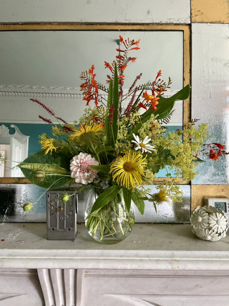 Thread 7 Starmer : Cats and Conferences