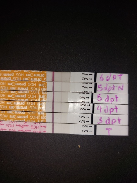 6dp5dt progression lines??? Help! 😩