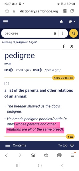 To not understand the obsession with ‘doodle’ breeds
