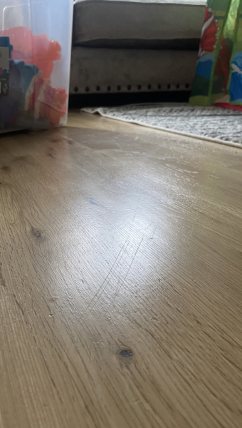 Oak hardwood flooring a mess 6 months after being sanded