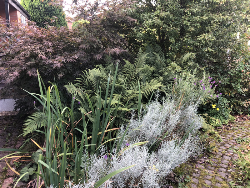 What have you done in the garden today? Part 5