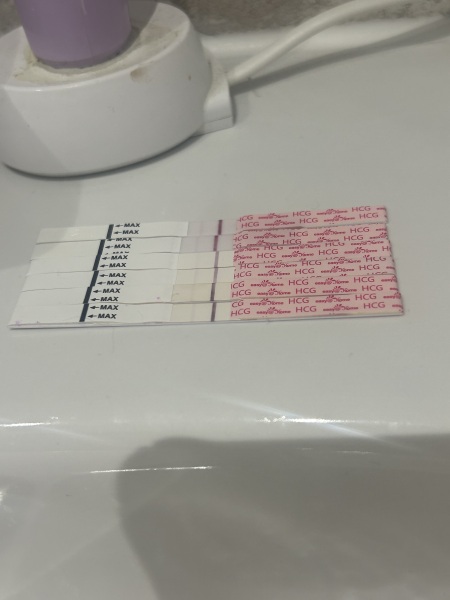 Does this even sound possible?