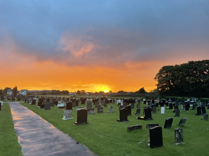 Spring has sprung...let's Countdown to Christmas 2024 (Thread 2)