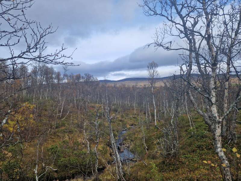 The Autumnal Christmas Chronicles Preamble thread