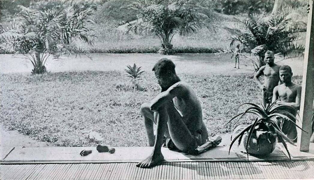 Most powerful images in history [content warning: distressing images]