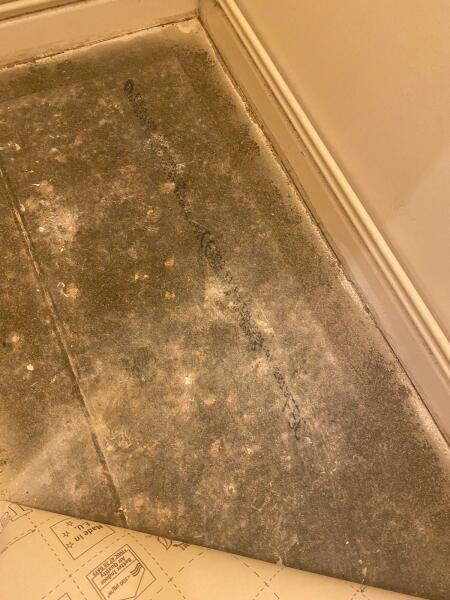 I have sever damp and mould for years