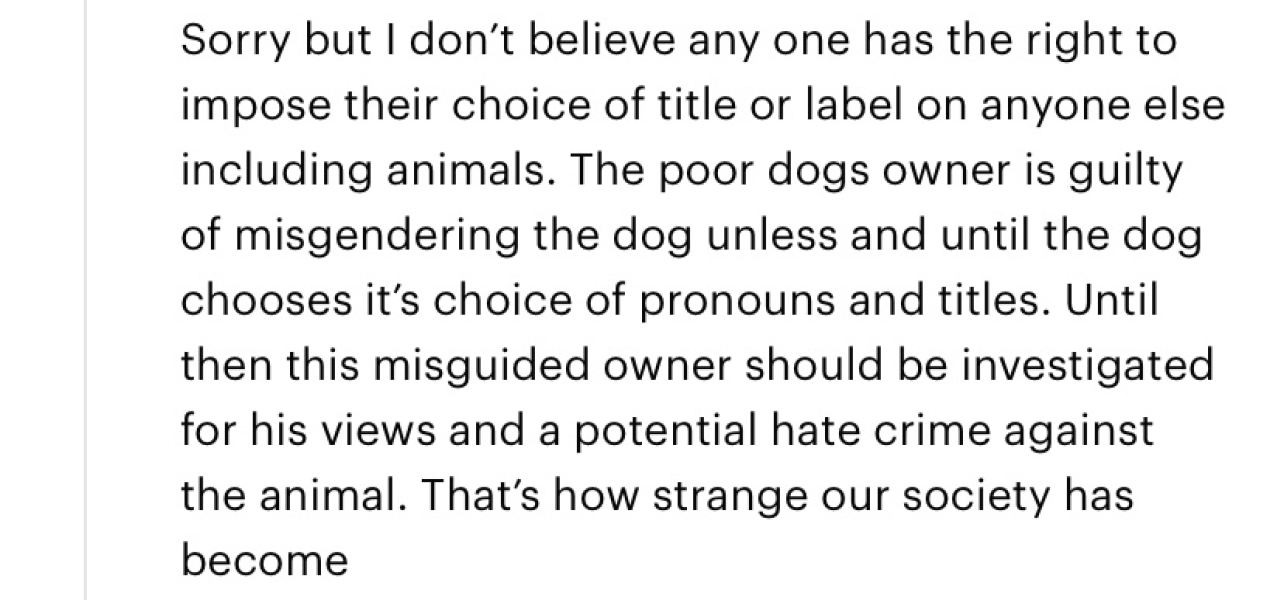 Trans dogs??