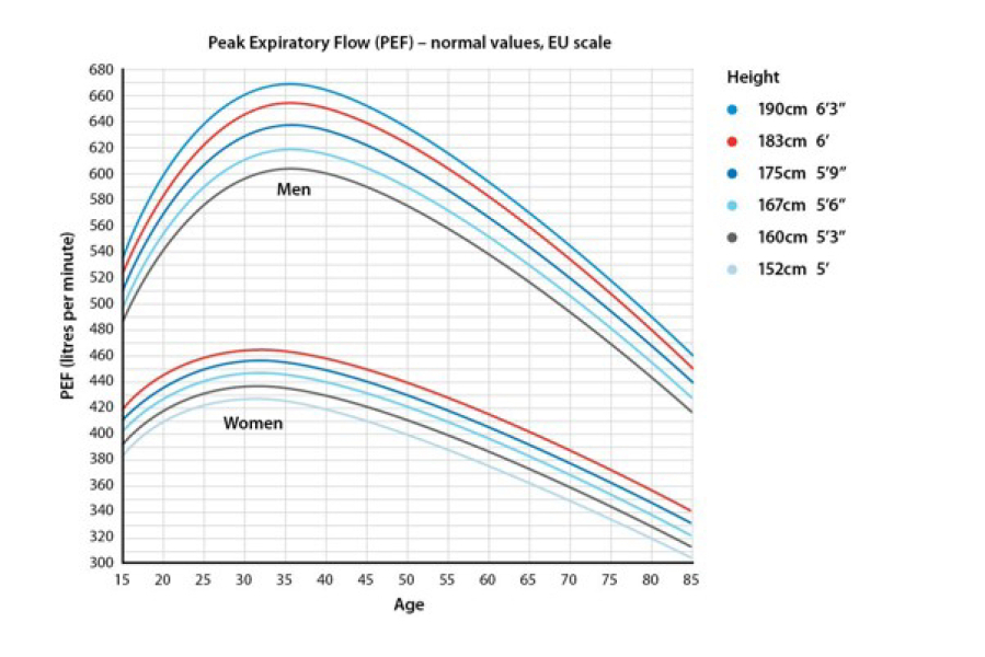 Sex differences in asthma