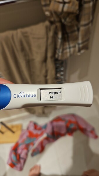 1-2 weeks pregnant