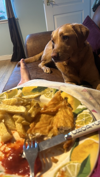 Bluestocking - the second leg