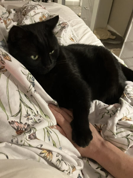 Feeling very low. Experiencing first hand the downfall of society