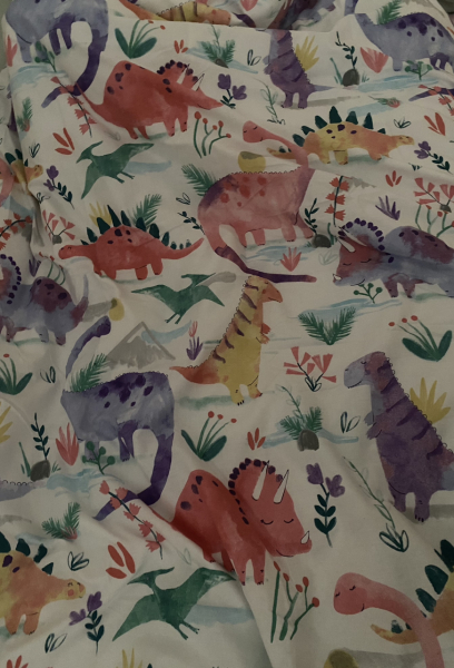 To buy 3 year old DD dinosaurs for Christmas?