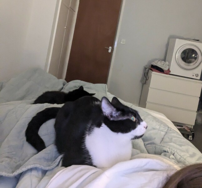 Coping without heating