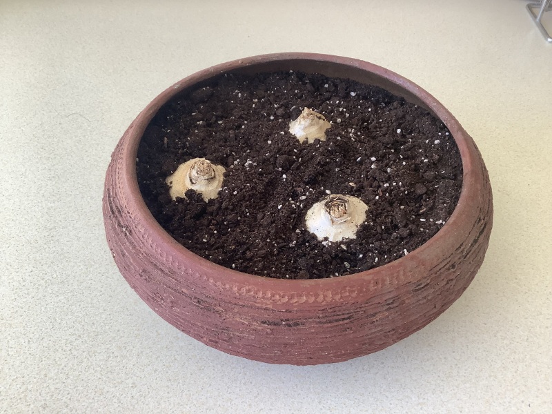 The Autumnal Christmas Chronicles Preamble thread