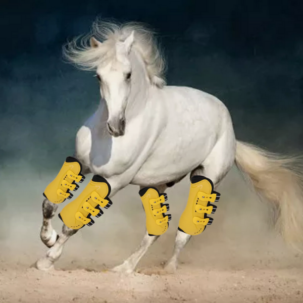 Tendon boots. Photoshop fail.