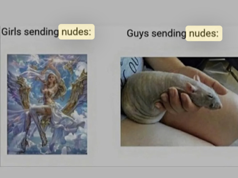Weird comment moment on vaginas