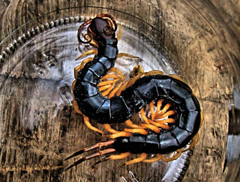 What is the worst thing that has ever woken you up?