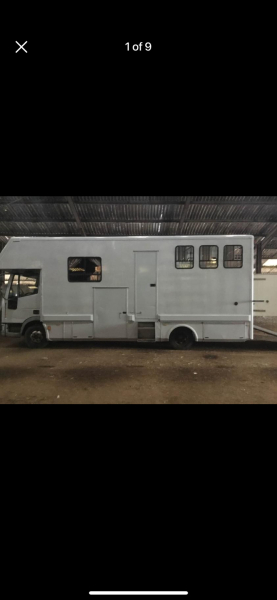Curious about Horses and Eventing/ShowJumping