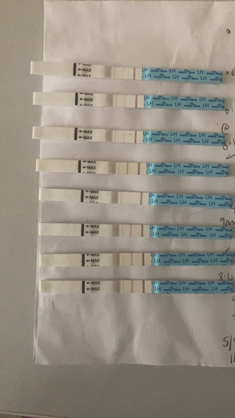 Anyone about to go into an ovulation week?