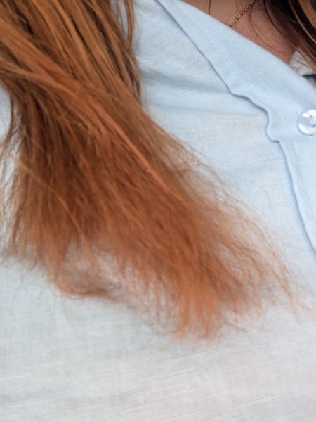 Why are the ends of my hair so frizzy?!