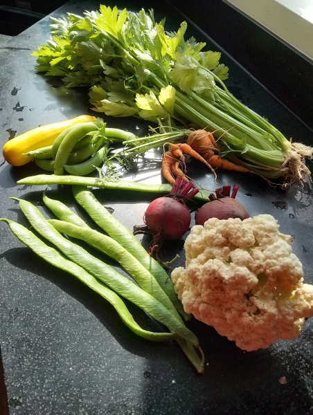 The Vegetable Patch 2024/2025
