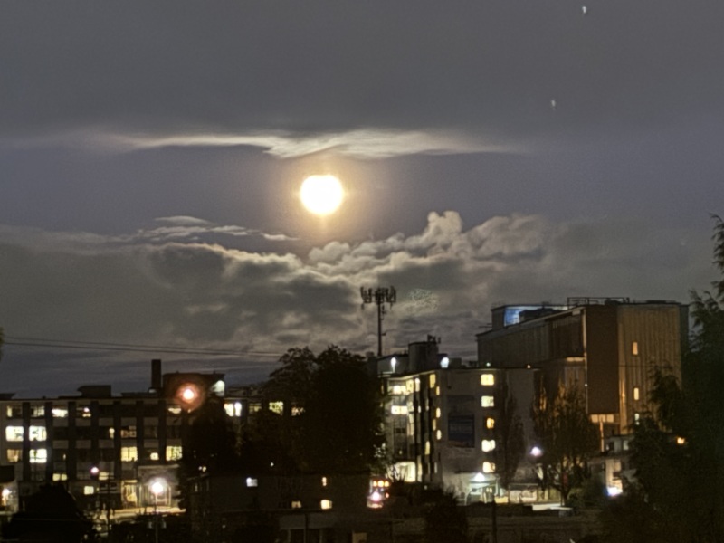 Come and tell me your dull and unexciting news 31: Calmly through the day