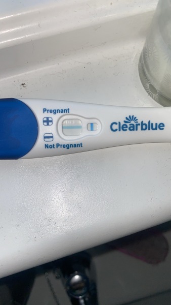 Clear blue test. Evap line or positive