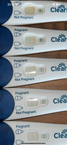 Positive or Evaporated lines???