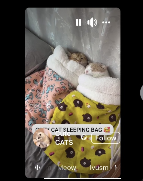 To also lock cat out of the room?