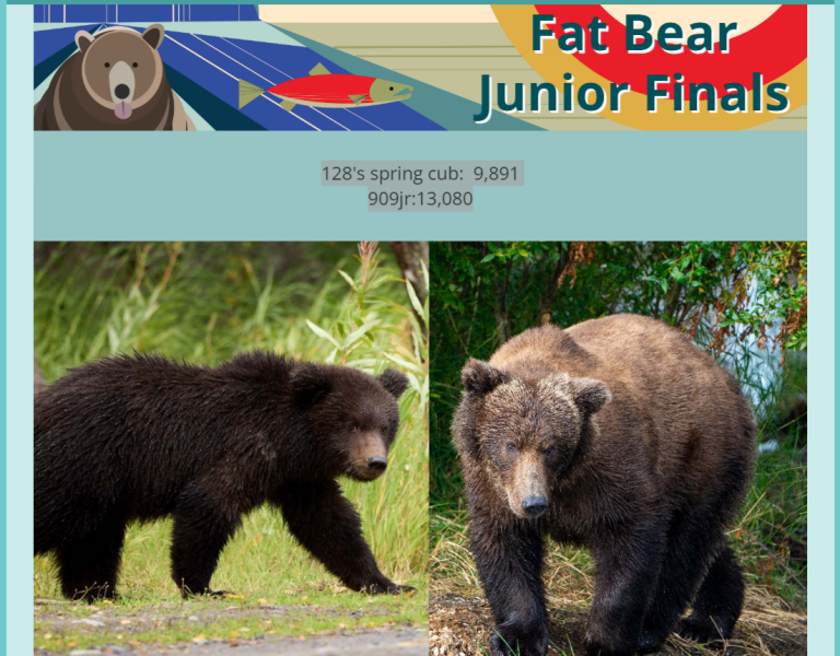 AIBU to bring 'Fat Bear Week' 2024 to your attention? Vote for your favourite!