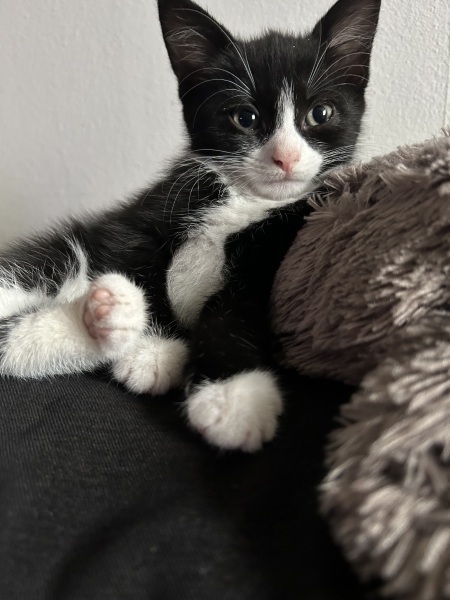 Thread 6 Starmer: We're going to need a bigger skip!