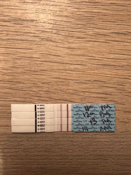 Anyone about to go into an ovulation week?