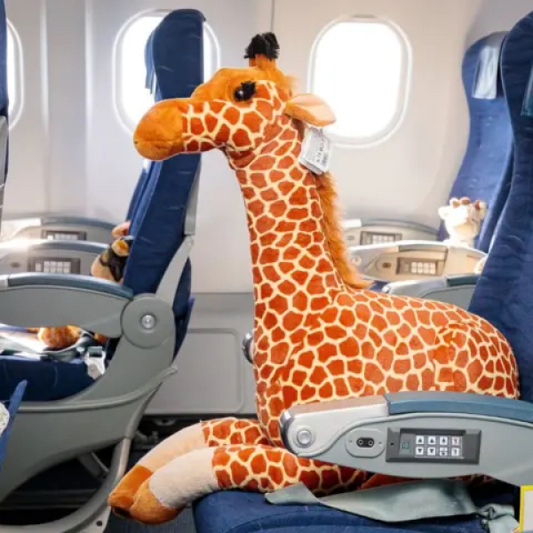 Reclining seat on a plane